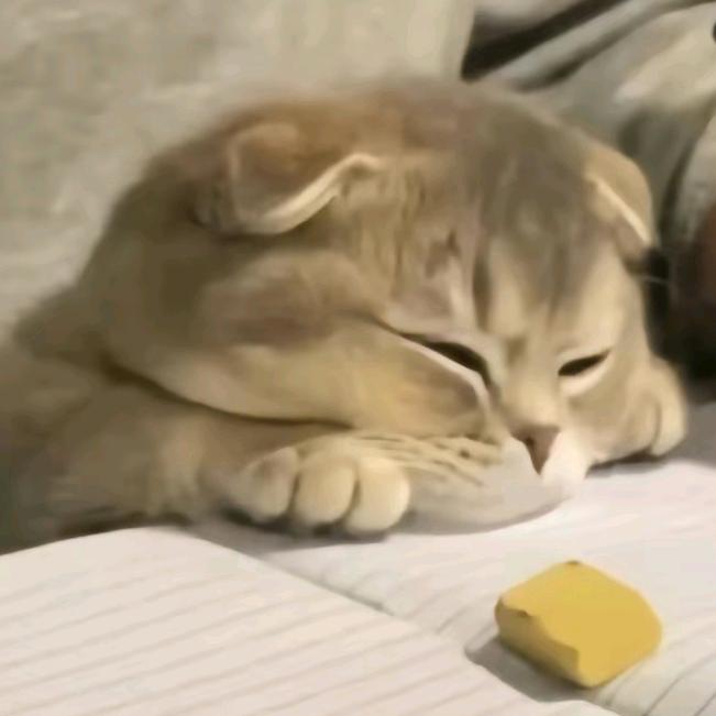 emo伤心簸箕炊