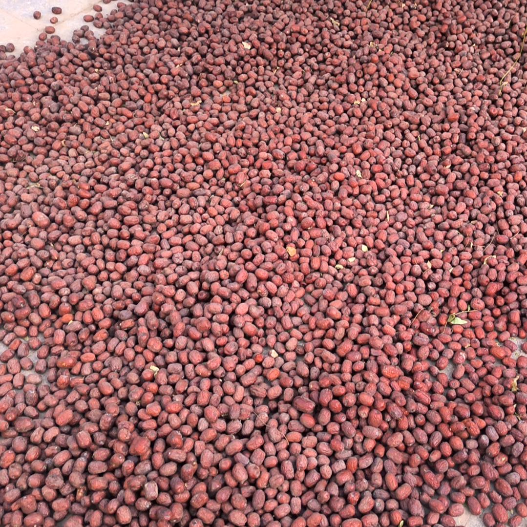 好运加满