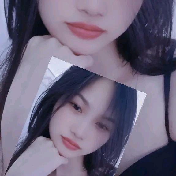 小小一只梅