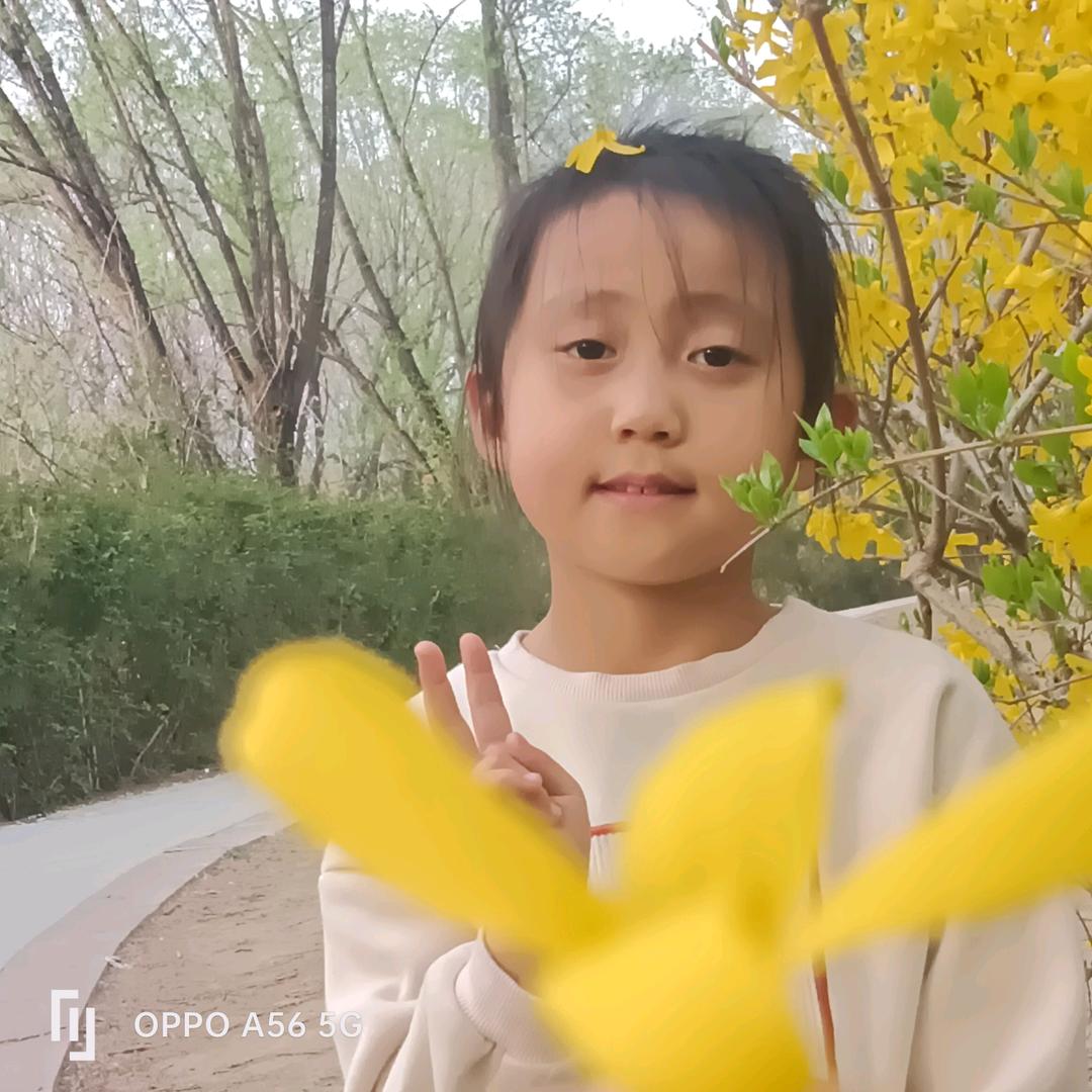 芳芳