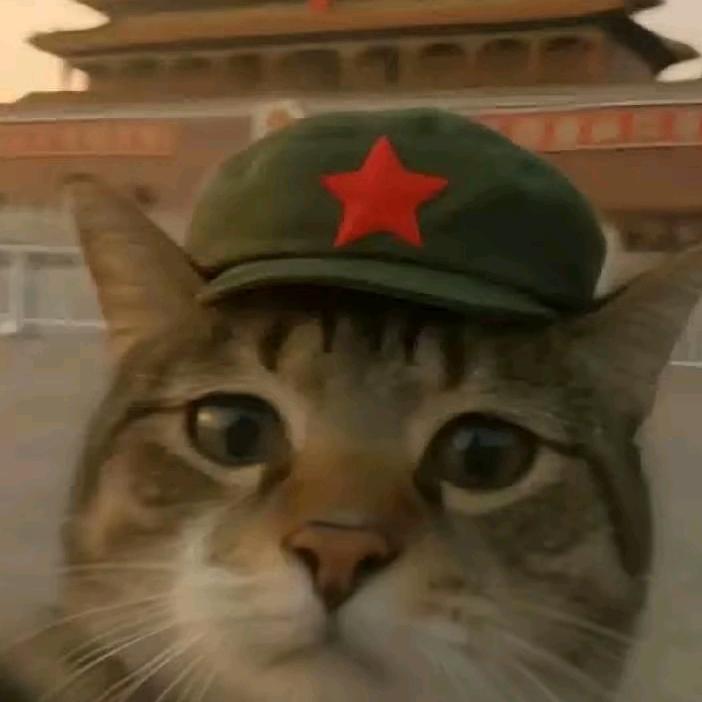 珍惜全心全意爱你的人