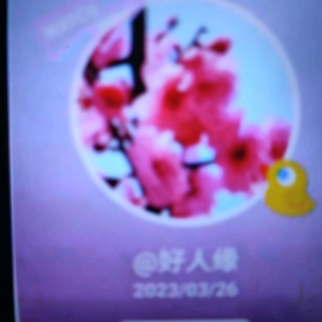刘啊姨