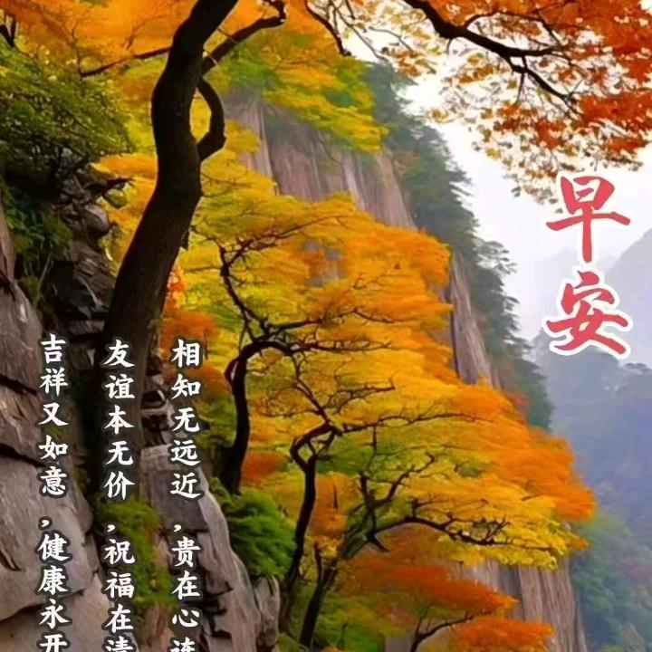 @叶子