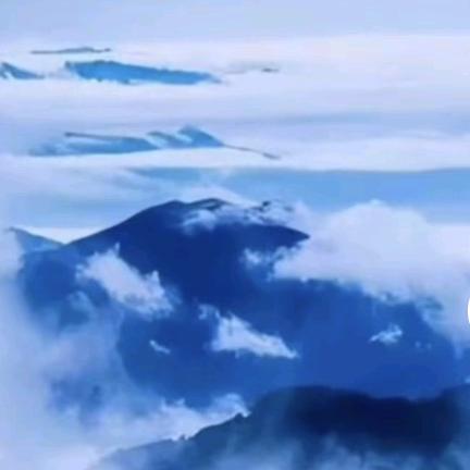 诚城🐮⁰⁴¹⁷