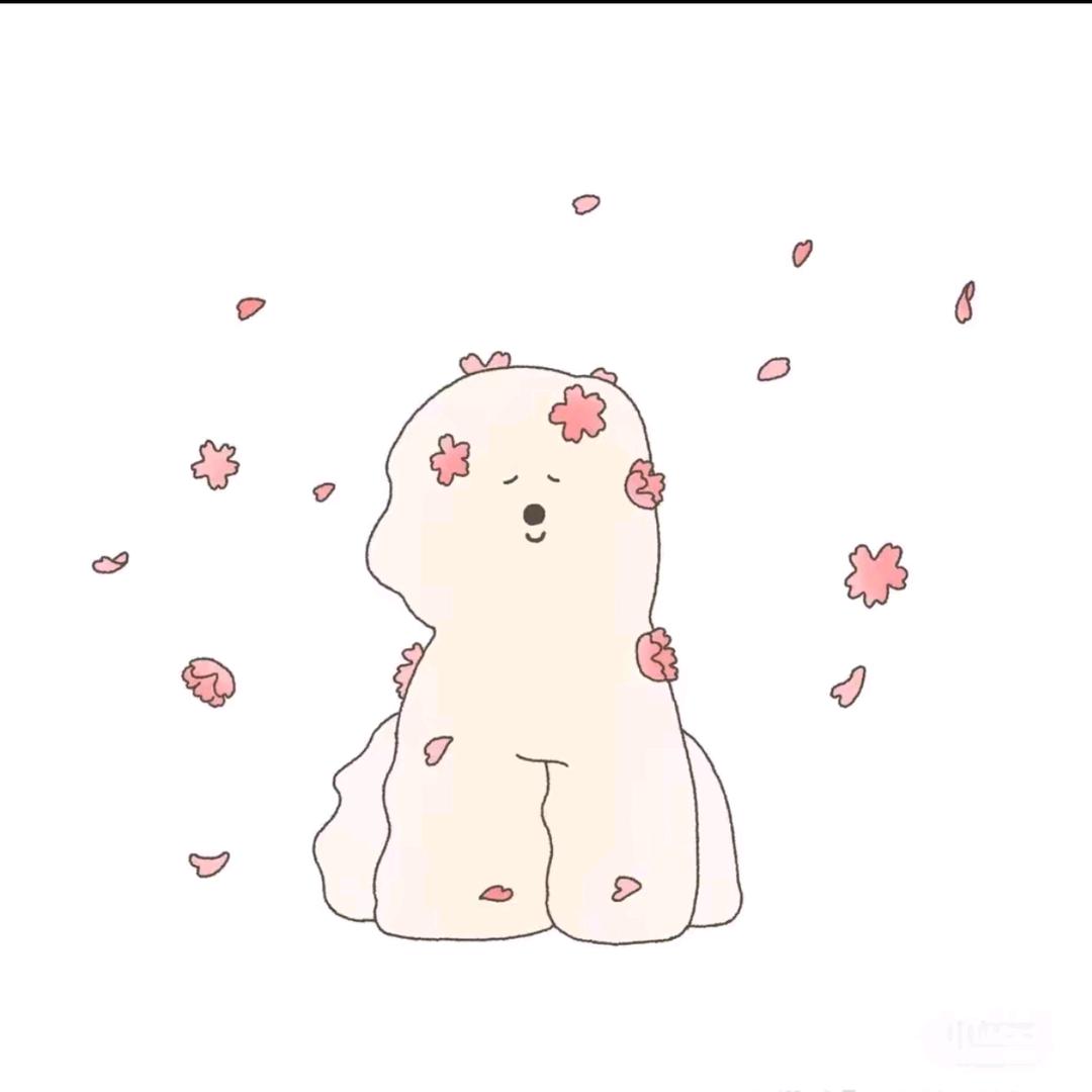 锦鲤-M