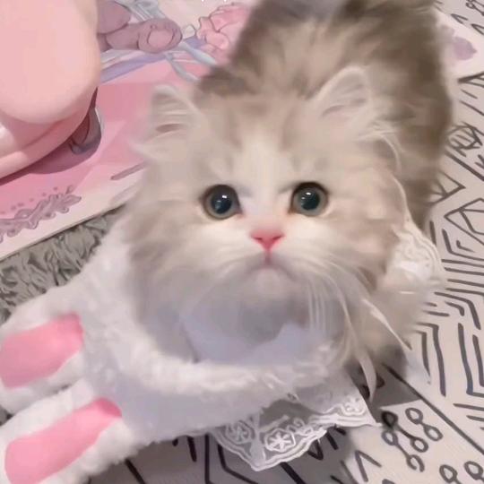 悲伤