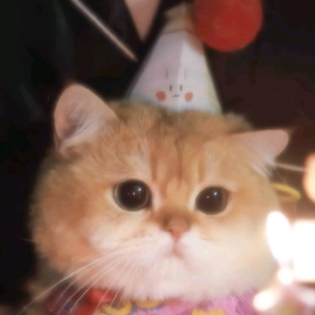 呼呼滴