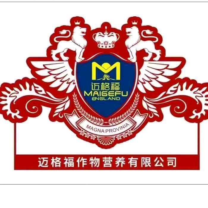 迈格福—小南