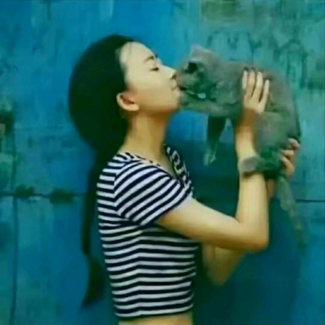 心若冰心