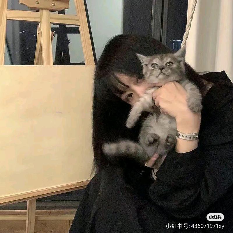 老刺猬401