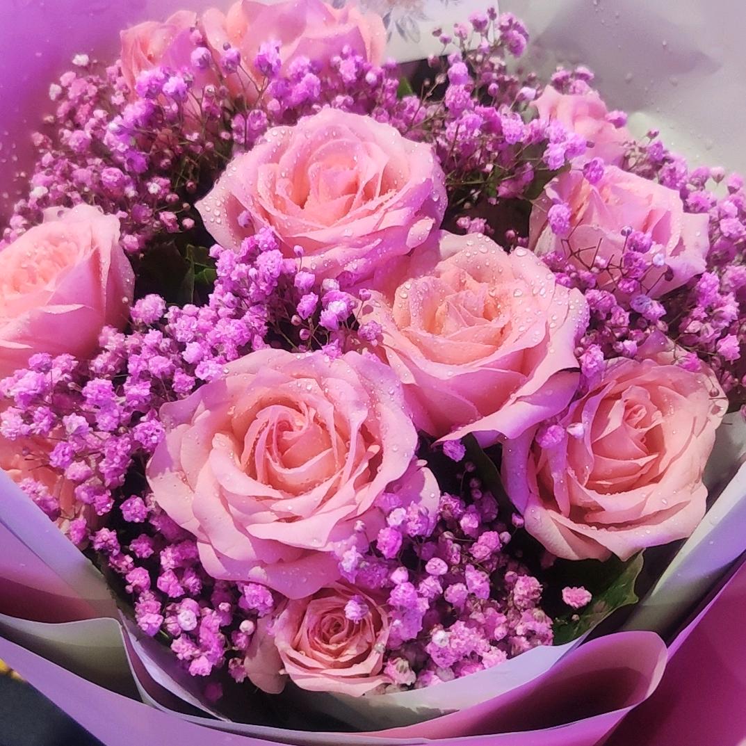 菲