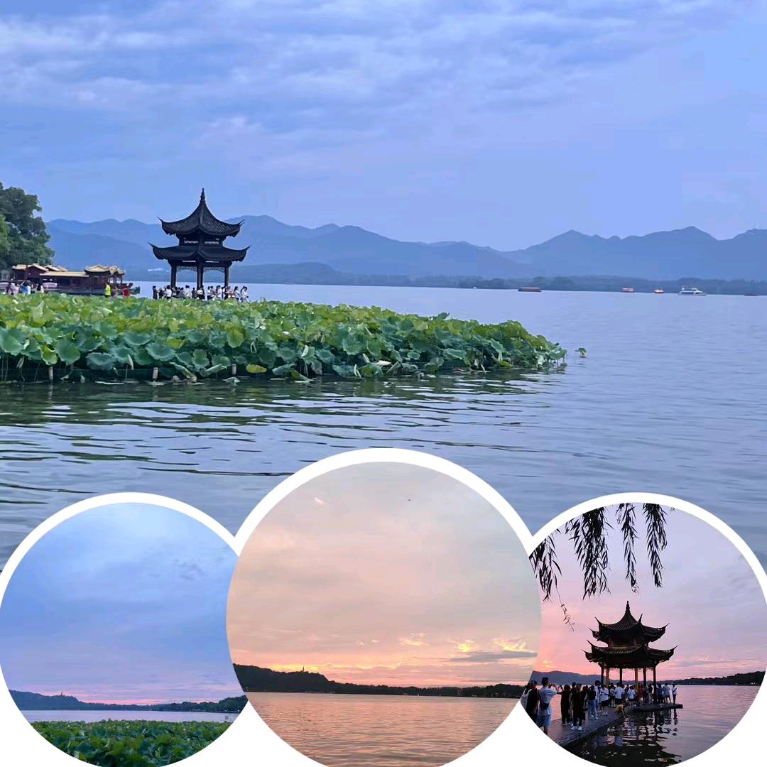 ¿🥀¿无¿爱¿一¿生¿🎊¿