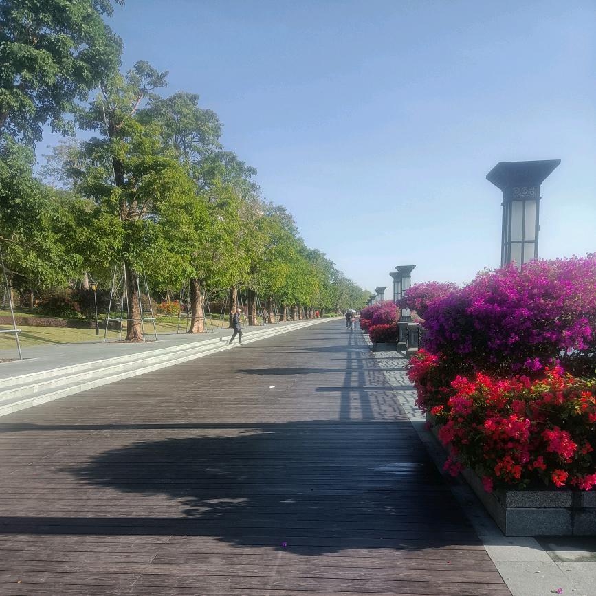 逛逛逛～逛逛逛