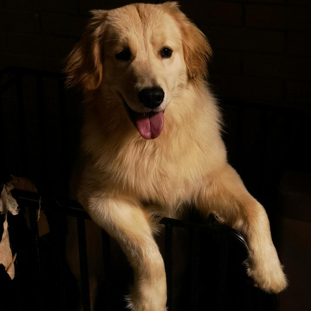 吃葡萄不吐葡萄皮丨