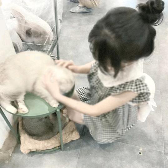 赤道情书