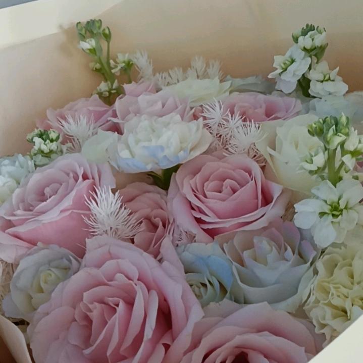 你是我唯一的执着