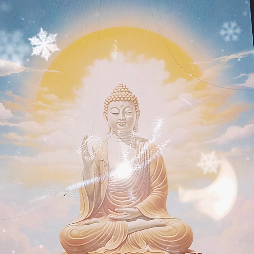 静心静禅
