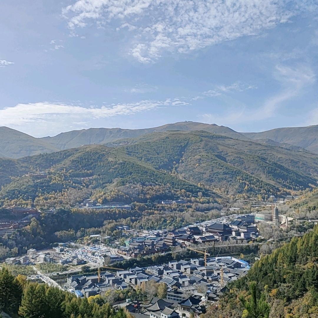 陪你长大  ……