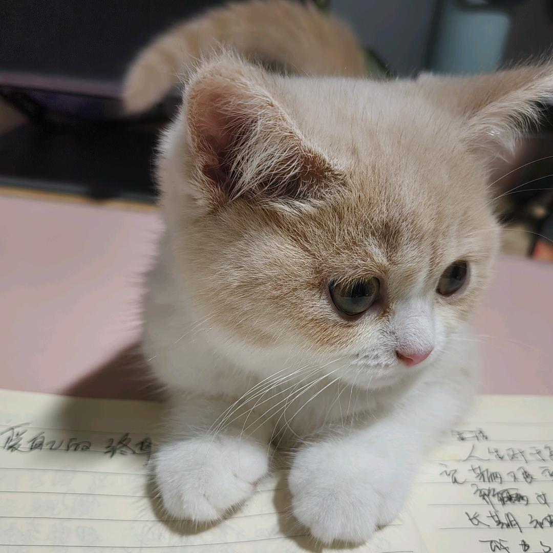 浩哥甄选女装穿搭