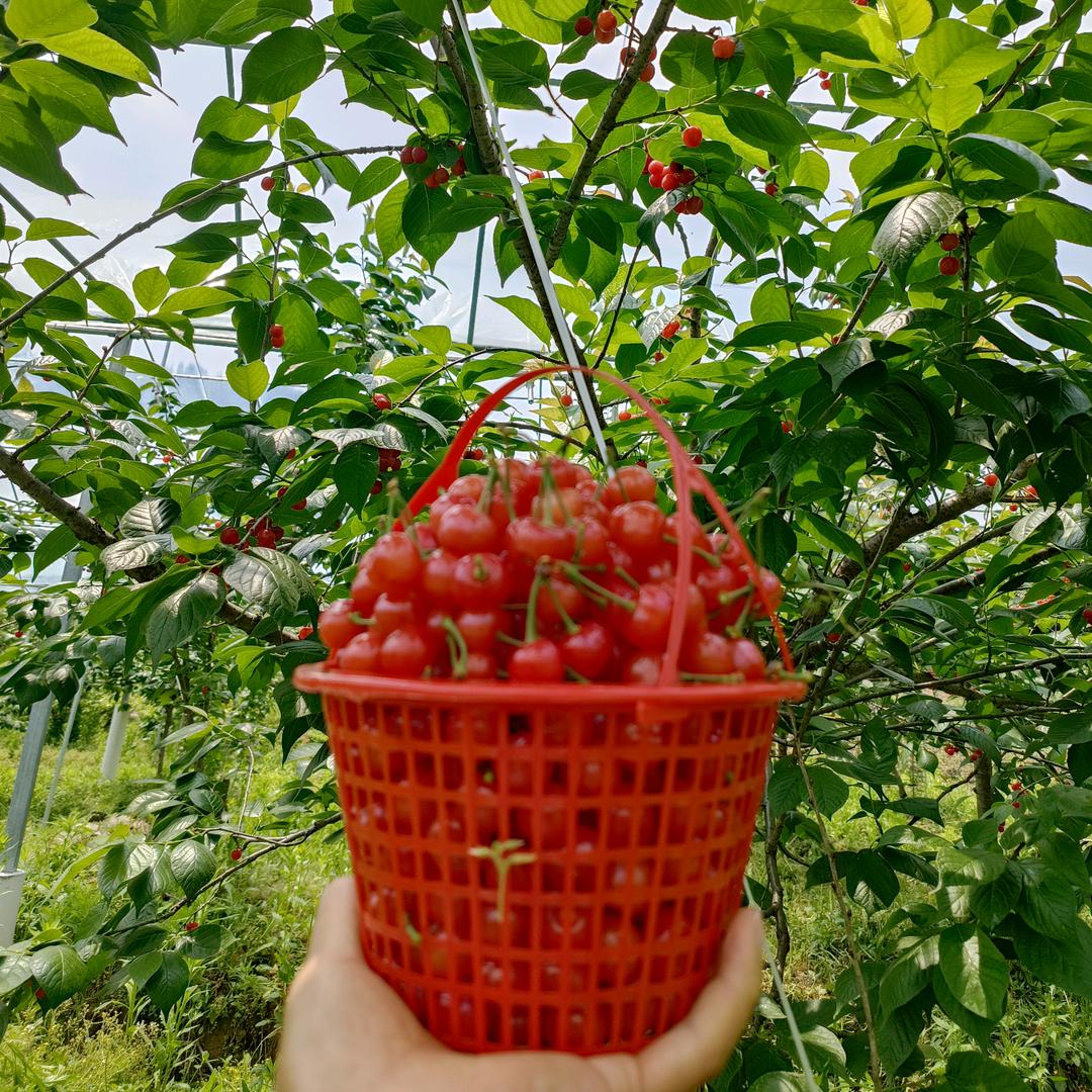 @陪你看日落🌇