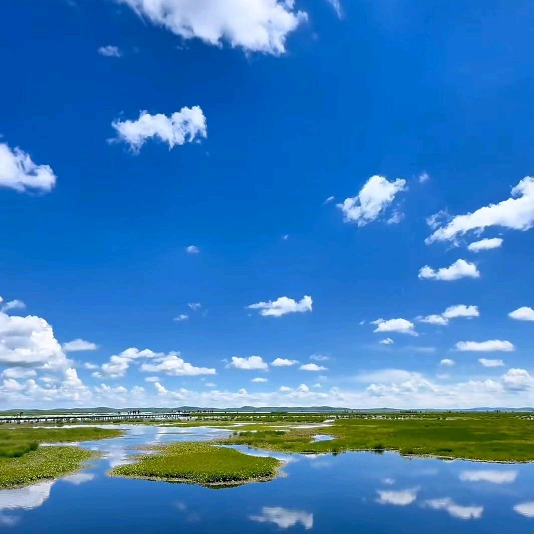 墨卷晴川