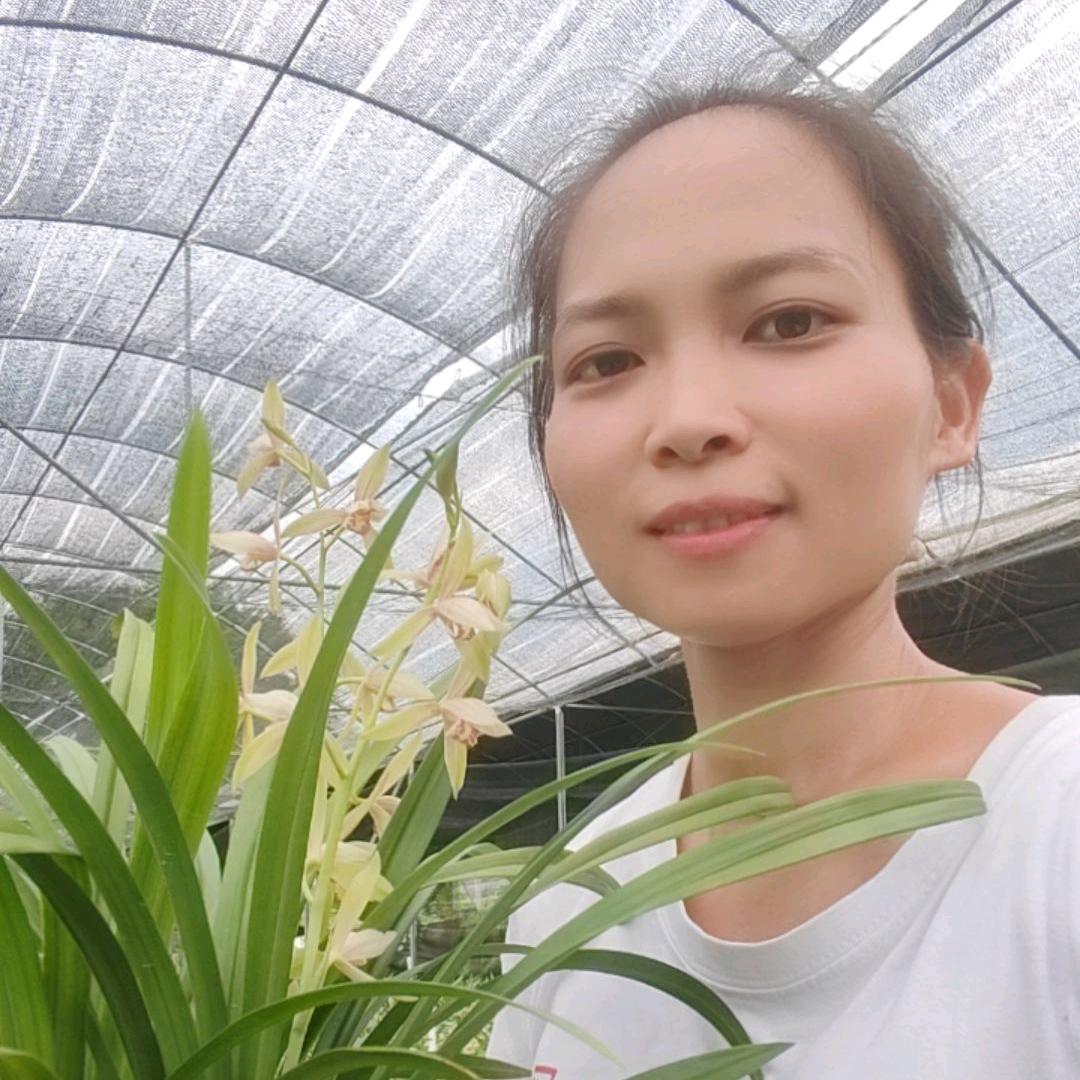 李子莺【花语兰苑】