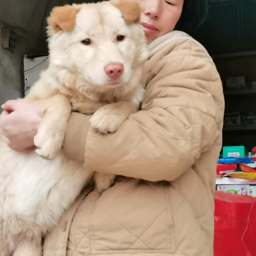 凯帝妹妹三月弟弟