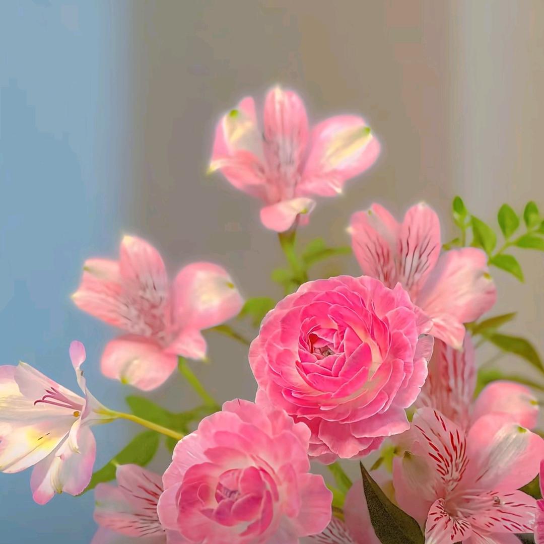 不重开的花