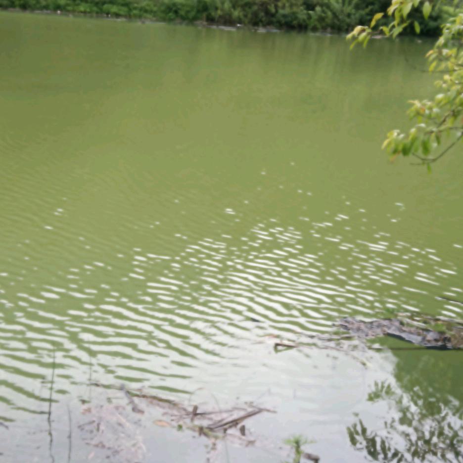 专业消防安装小程