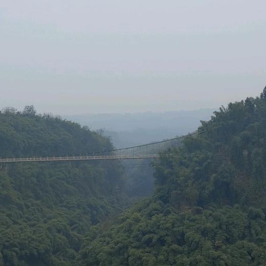 🚄好运常在🚄💨奶