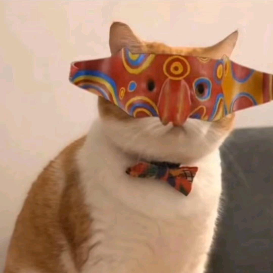小猫.