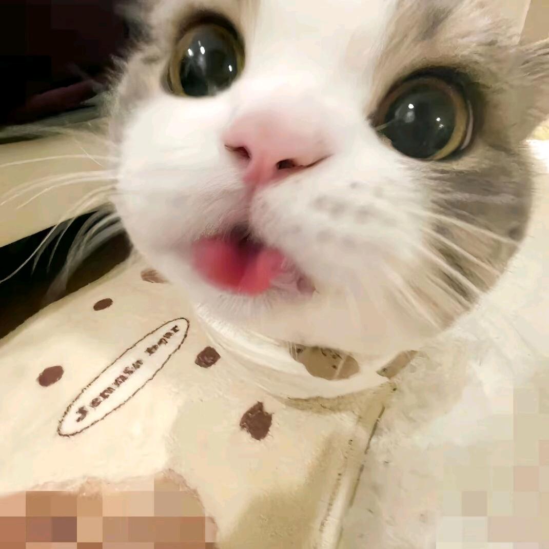 六六