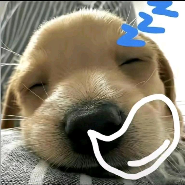系我啊