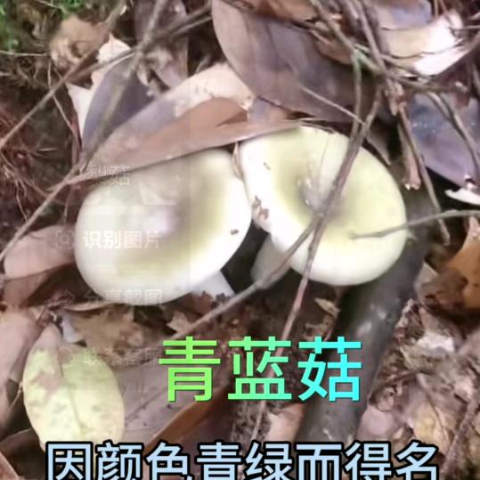 短暂烟火无处躲