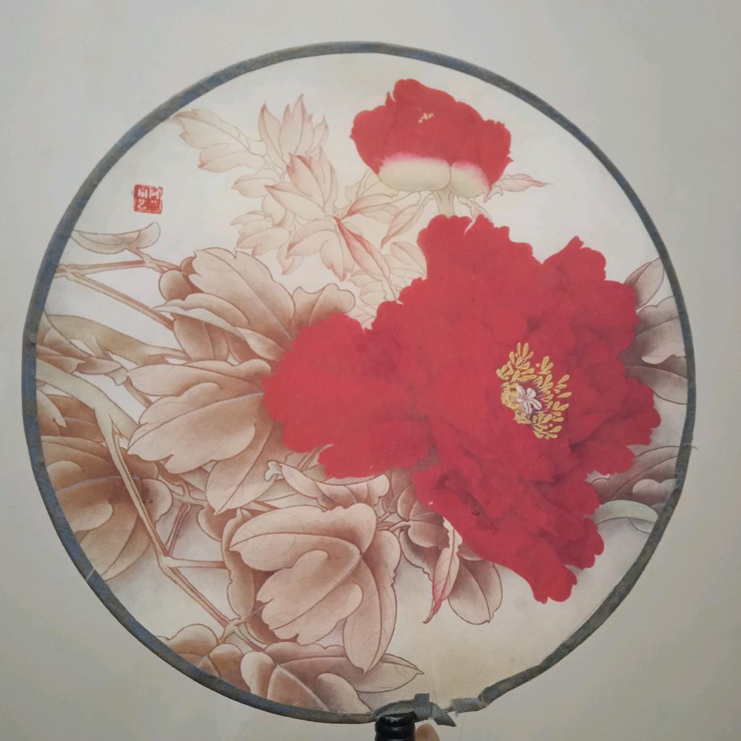 春春（每天晚上9:50）