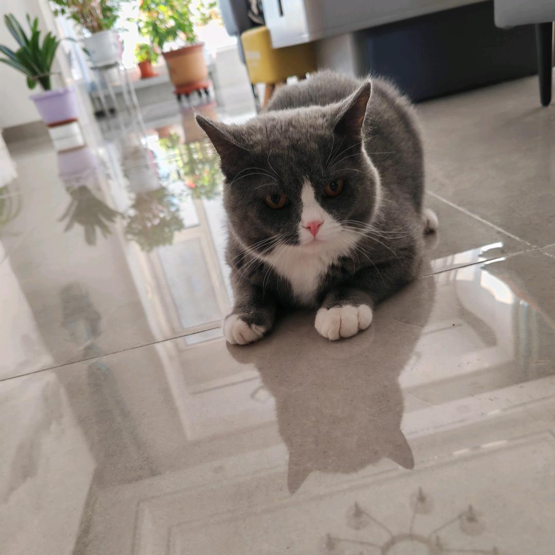 内蒙古蒙宠生物科技