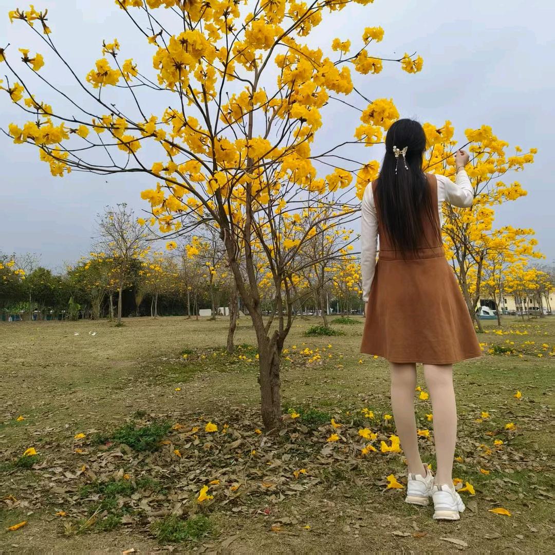 恬憬