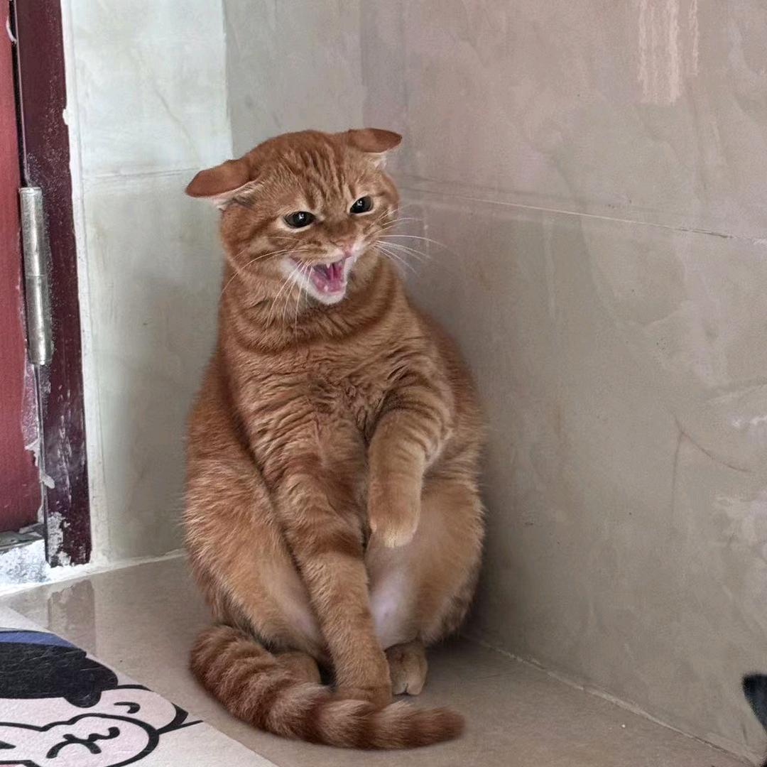 不想上早八