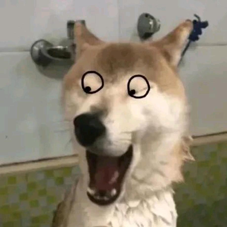 💩到临头还想搅便