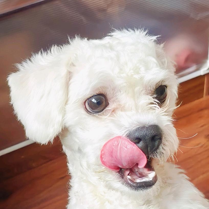 太空警察蔓越莓