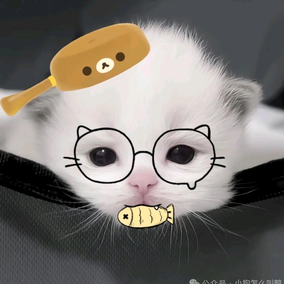 一缸渔的渔（点培🥣+）