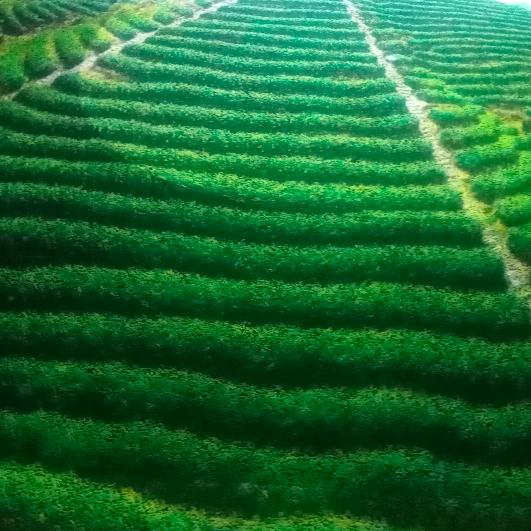 一🌹生💐难🌺忘🍁