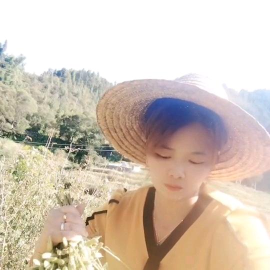 茶与💐故事🌻