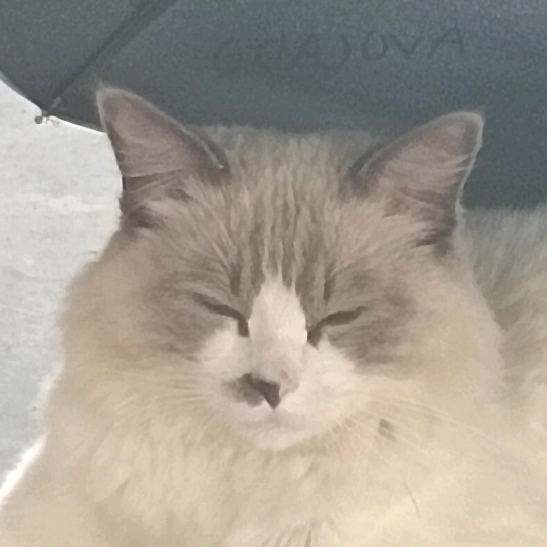 🌈🌈🌈🌈🌈🌈🌈🌈🌈🌈