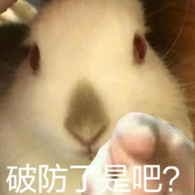 鱼鱼鱼鱼七⁴⁵