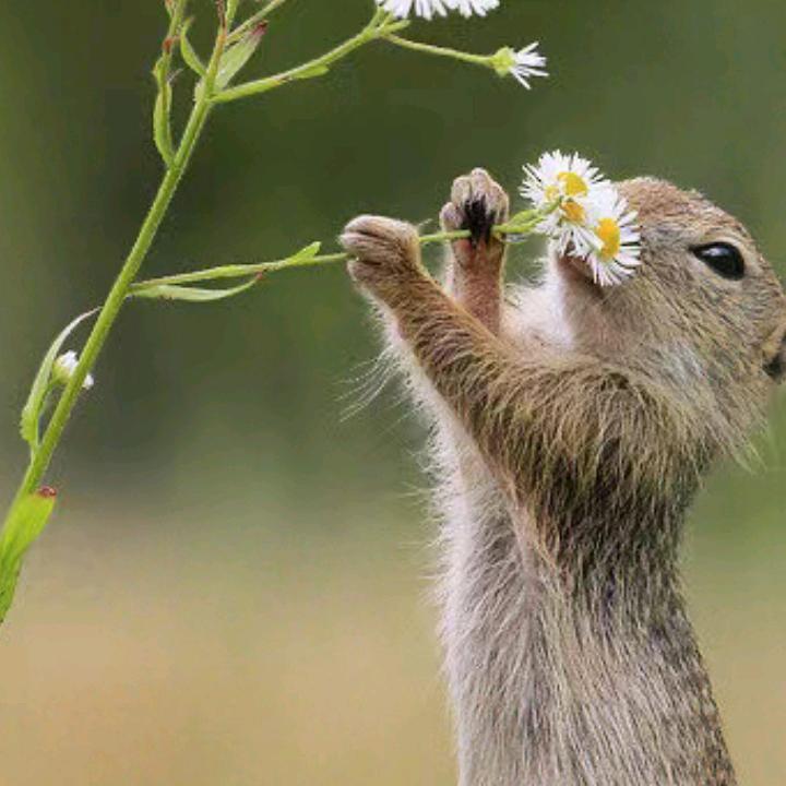 兜里没钱，桃花无缘。