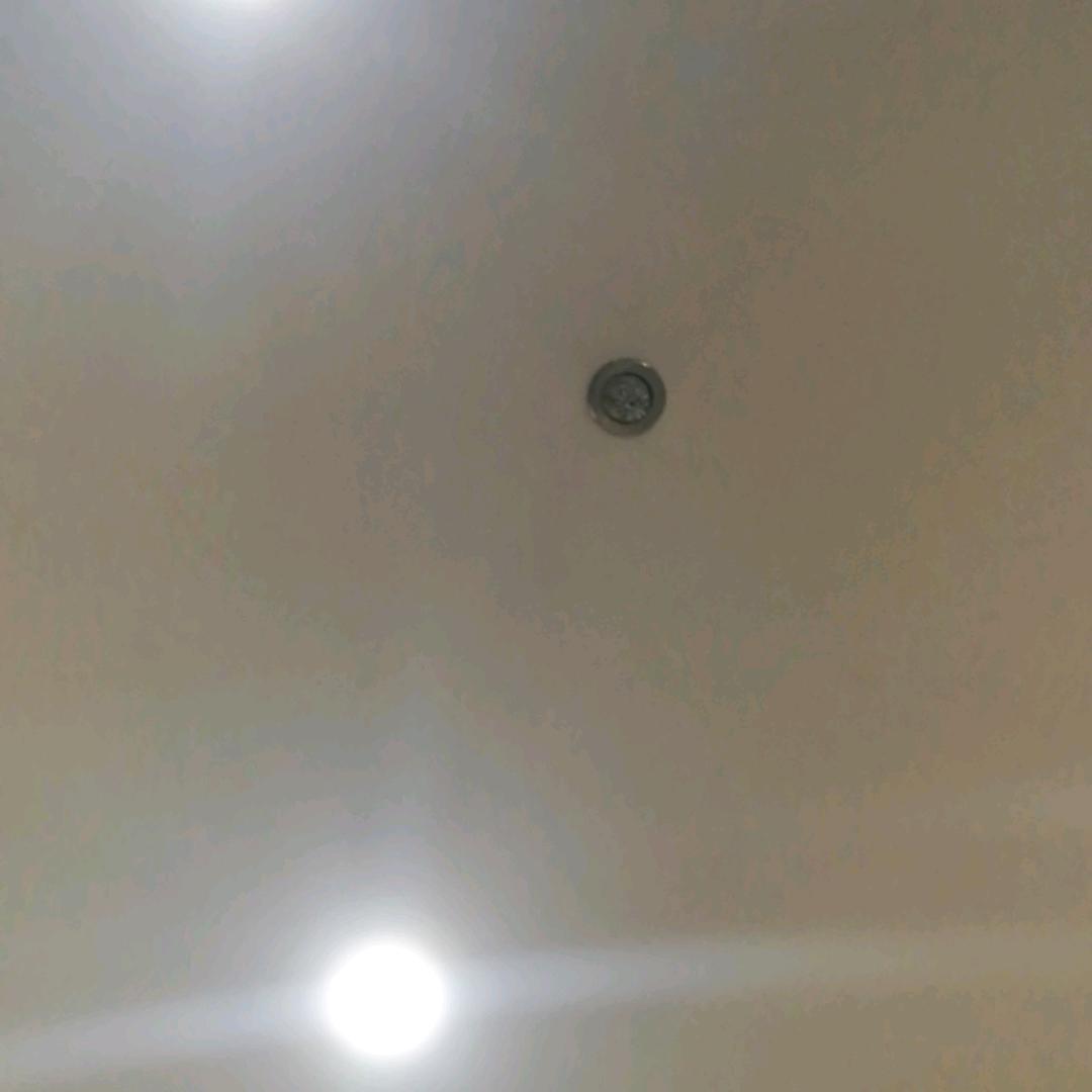 苏苏果果