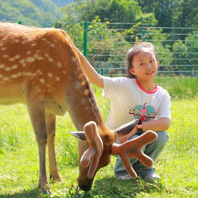 阳阳成长记