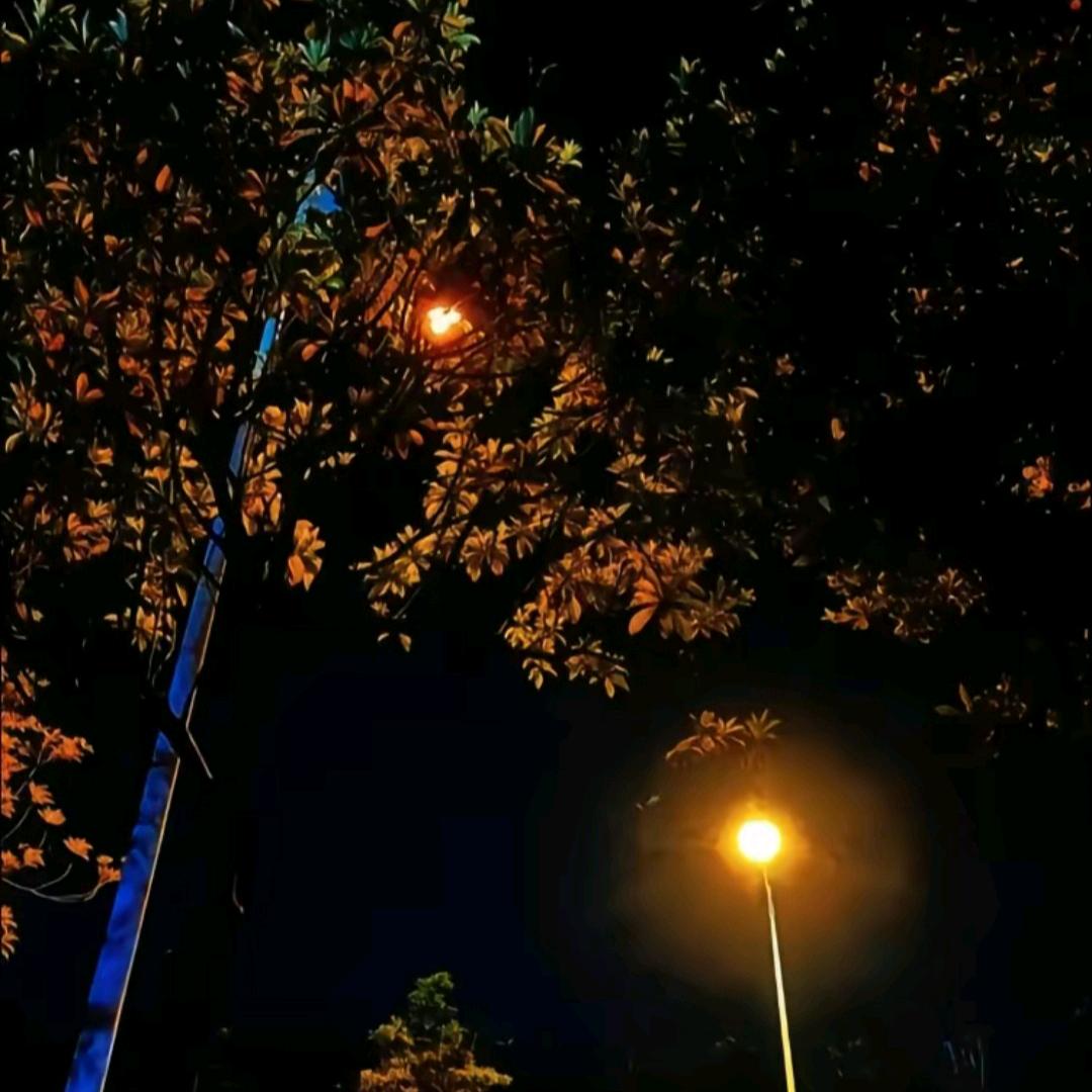 幸运者～