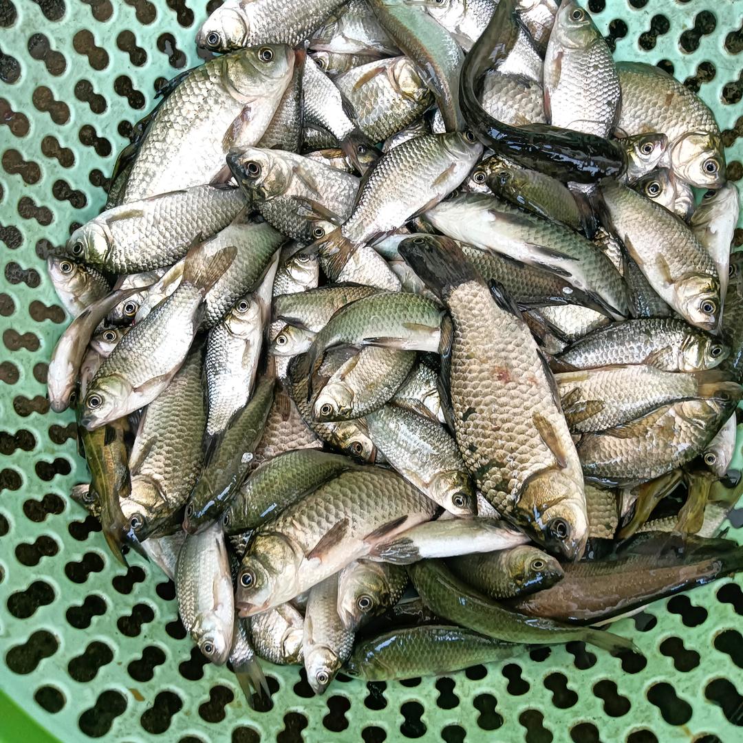 生活百态，鸡毛蒜皮。才是生活。(¦3[▓